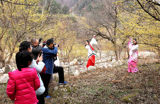 （有修改）汉中佛坪“茱萸花海踏春游”活动将于2月27日启动