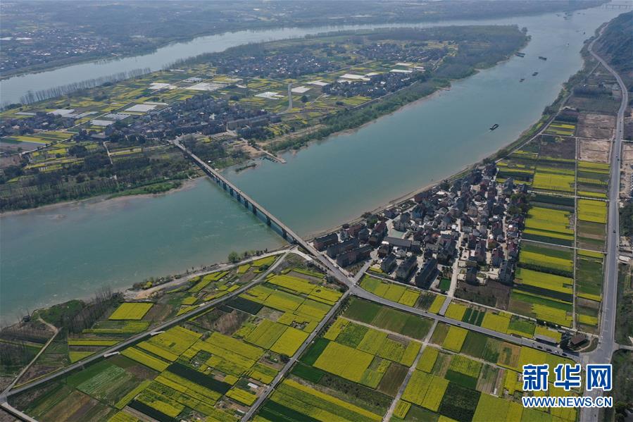 杭州：富春江畔春意闹