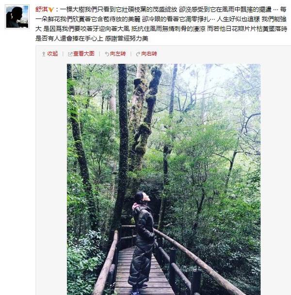 “哲理淇”已上線!舒淇發長文感慨人生坎坷