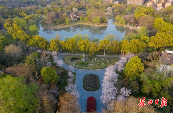 線上逛堤角公園 一起守望春天