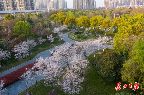 線上逛堤角公園 一起守望春天