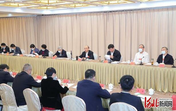 河北省代表团审议全国人大常委会工作报告和“两高”报告