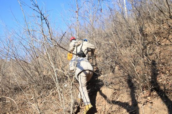 2021地方两会系列观察之四： 协同共进 京津冀定下5年新约