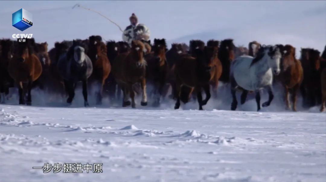 中国考古学诞生100年，这群守护国家宝藏的人终于被记录下来！_fororder_11