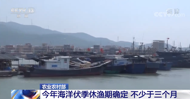 今年海洋伏季休渔期确定 不少于三个月