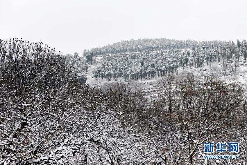 Salju di Musim Semi_fororder_salju5