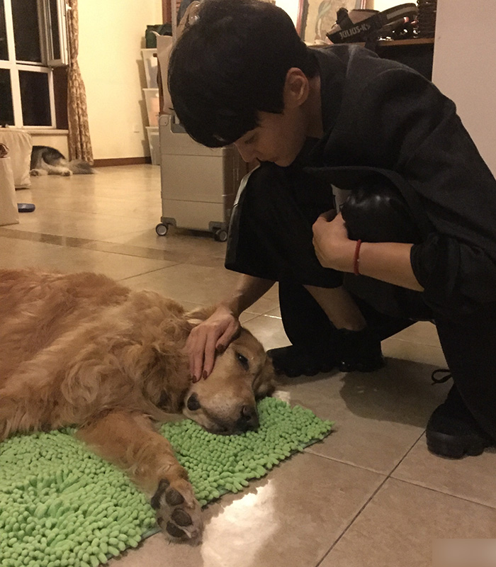 吴晓敏罕见晒与老公朴树同框照 爱犬离世十分伤心