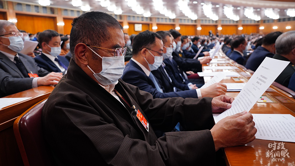 两会新华鲜报丨钉钉子！农村“关键小事”分量不小