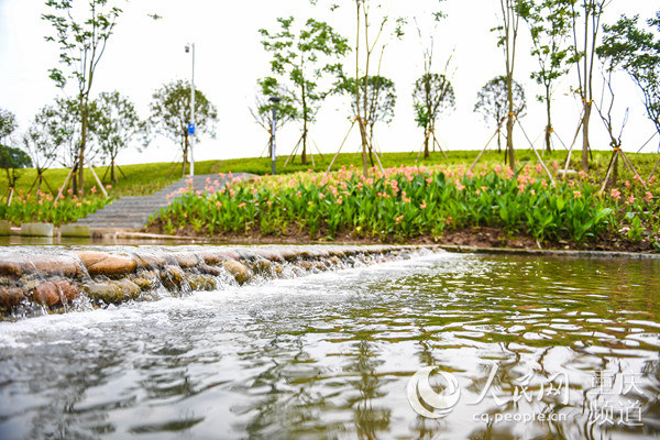 重慶：打造山水林田湖草系統修復“樣板”