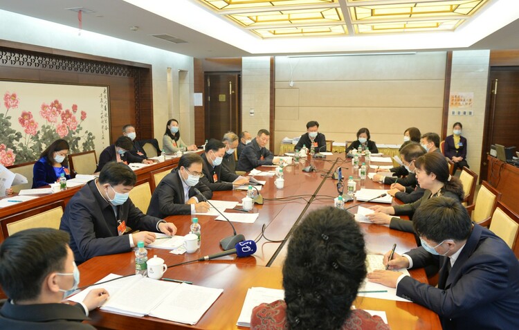 黑龍江省代表團小組會議審議全國人大常委會工作報告、“兩高”報告等
