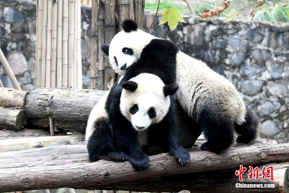 图片默认标题_fororder_photo3-5