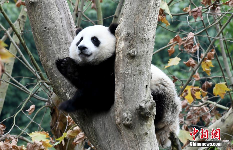 图片默认标题_fororder_photo3-6