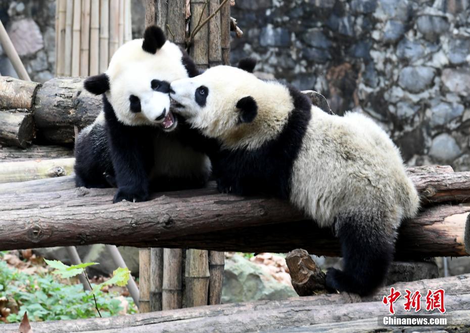 图片默认标题_fororder_photo3-7