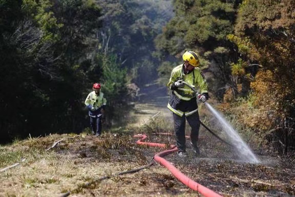 新西蘭奧克蘭附近發生叢林火災