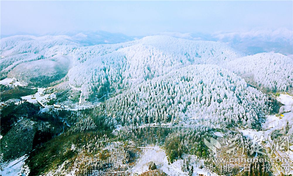 湖北現南方版“林海雪原” 銀裝素裹風景如畫（圖）