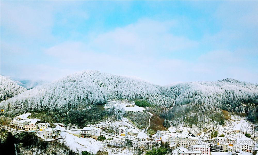 湖北现南方版“林海雪原” 银装素裹风景如画（图）