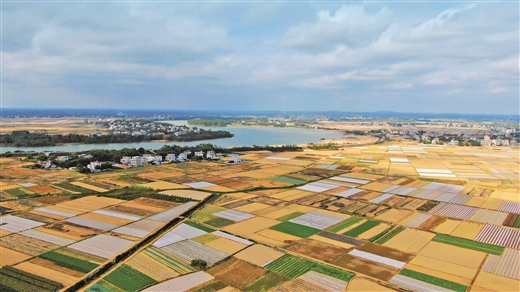 广西合浦县南流江两岸呈现一派美丽乡村画卷