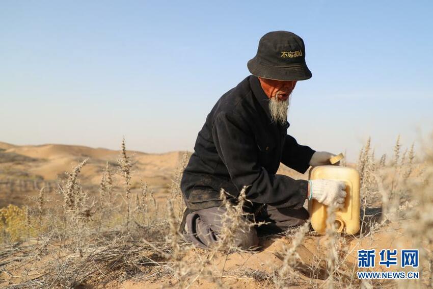 Tanam Pohon di Seluruh Negeri Buat Musim Semi Menjadi Indah_fororder_zs5