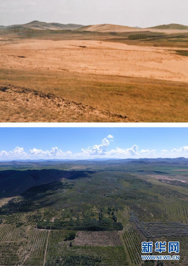 Tanggal 12 Maret Adalah Hari Tanam Pohon Nasional_fororder_zs21