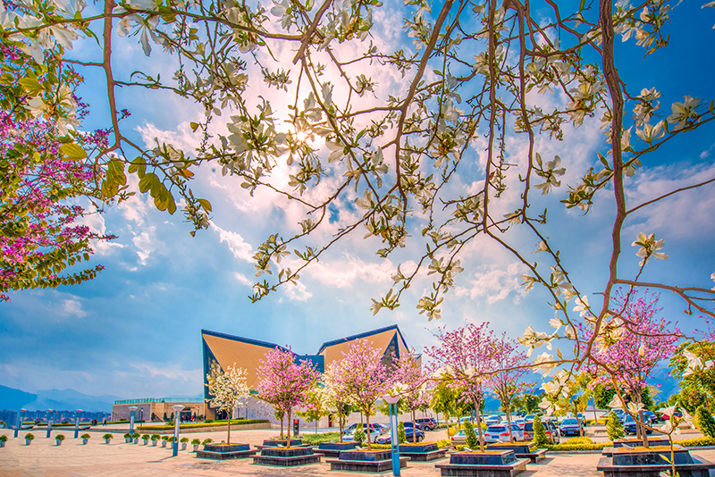 “阳光暖男”攀枝花：来一次就会爱上的城市_fororder_城市风光——三线建设博物馆-供图-攀枝花市委宣传部