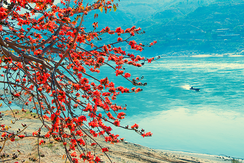 “阳光暖男”攀枝花：来一次就会爱上的城市_fororder_摄影姜文艳-作品名：碧水春色