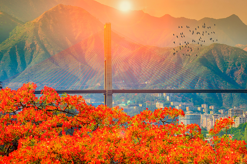 “阳光暖男”攀枝花：来一次就会爱上的城市_fororder_城市风光——炳草岗大桥供图-攀枝花市委宣传部
