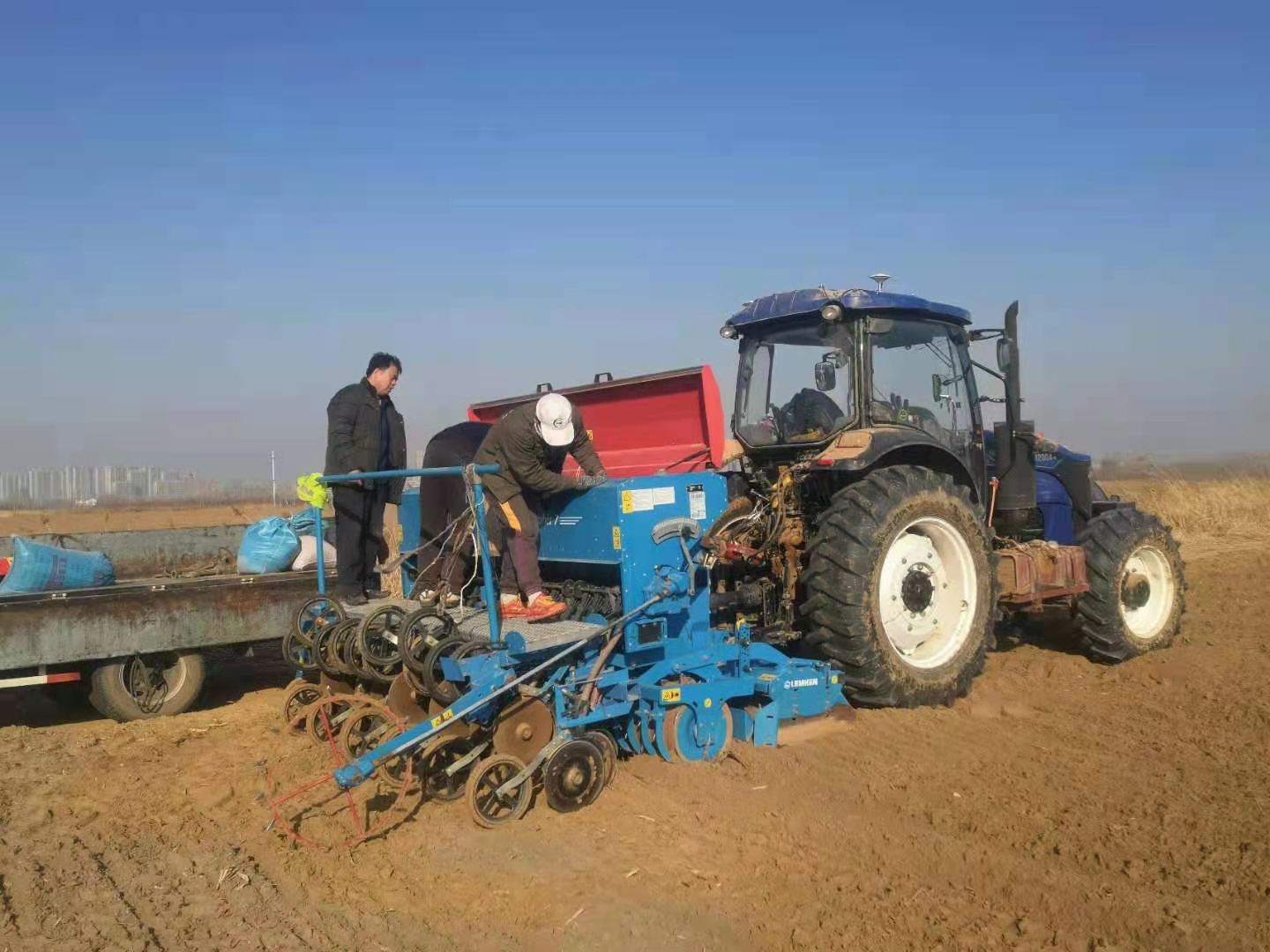 寻找“黄河粮仓”的年轻种田人