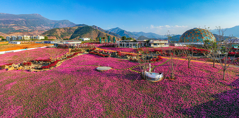 “阳光暖男”攀枝花：来一次就会爱上的城市_fororder_米易金山半杯-周良摄影-(9)