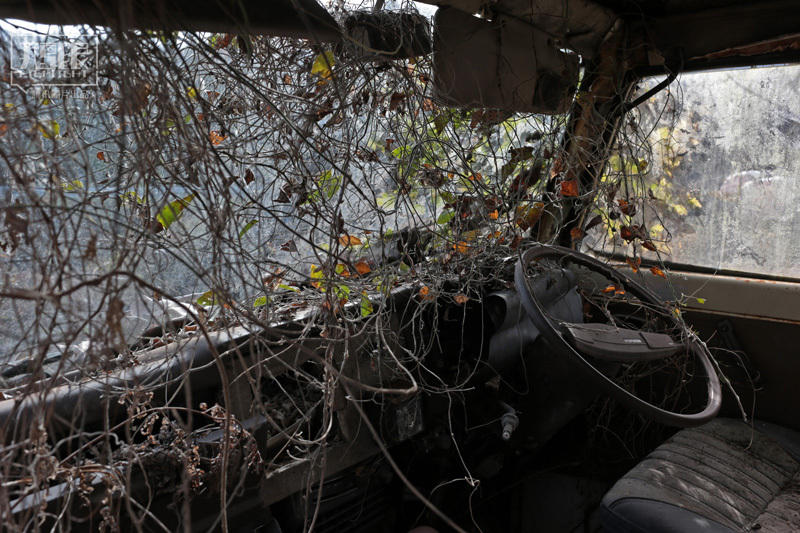 日本核辐射下的“死城”