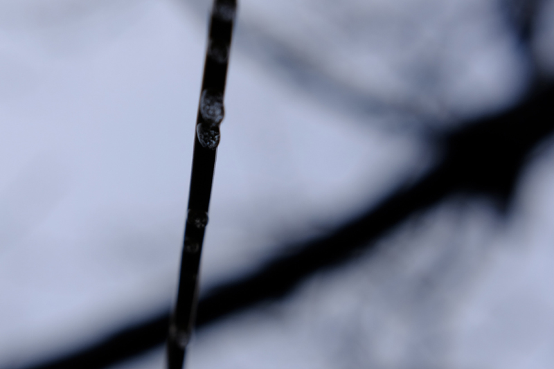 Beijing Turun Salju_fororder_762875136