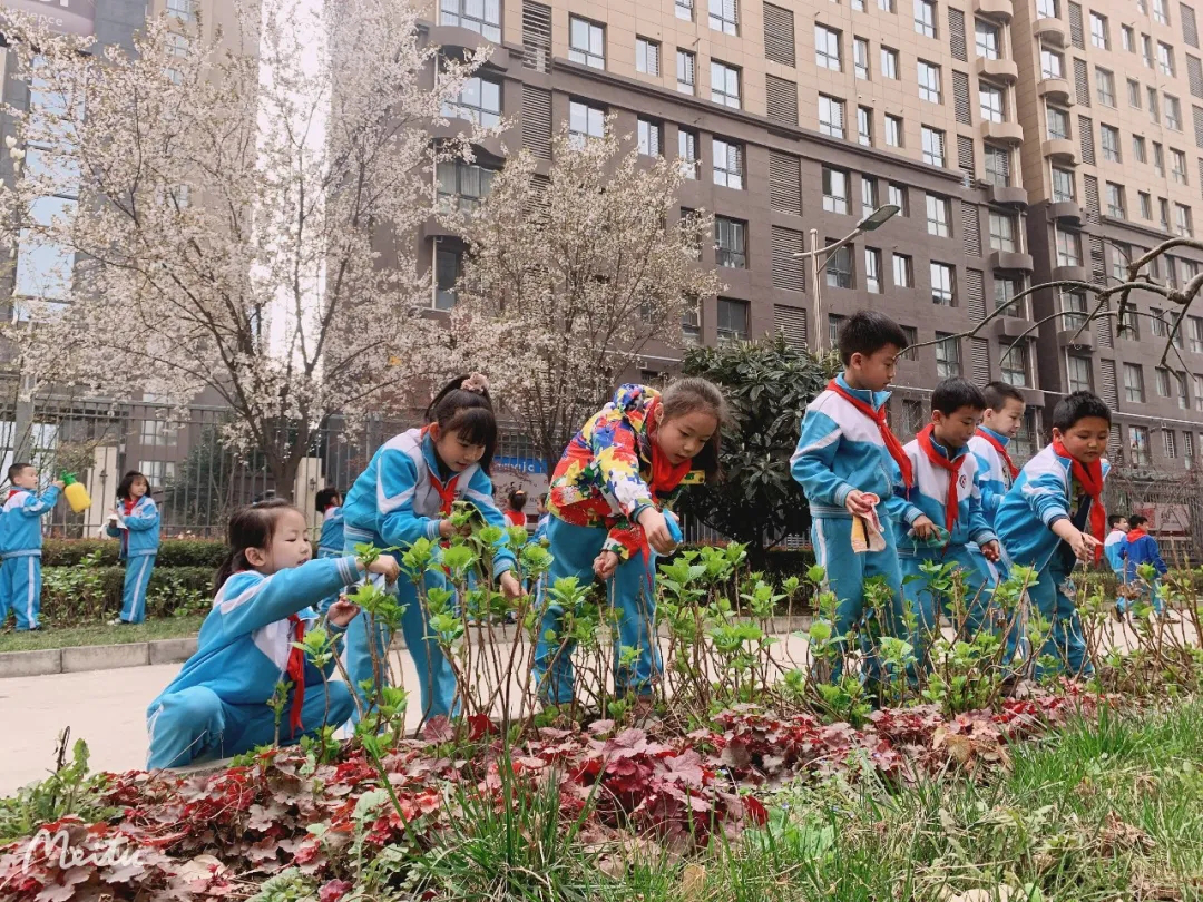 西安高新第七小学：小手添新绿 播种新希望