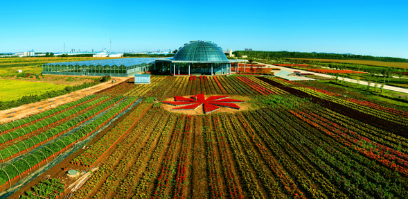 【要聞】北大荒:青春好年華 蓄勢再揚帆 【要聞】北大荒:青春好年華 蓄勢再揚帆