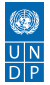 UNDP_fororder_UNDP