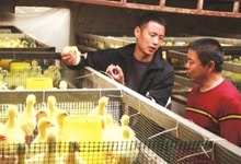 【中原优品-文字列表】柘城县返乡创业青年带领村民发家致富