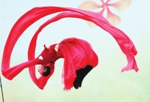 【中原文化-图片】【 移动端-焦点图】“豫东水袖王”的戏曲人生