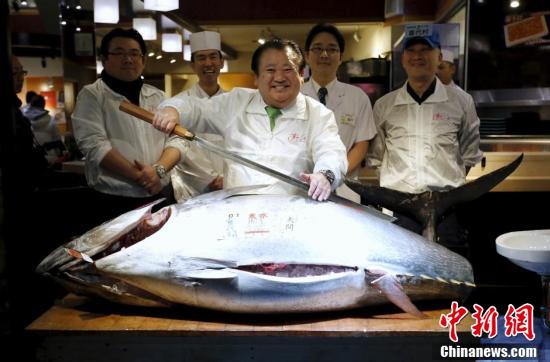 日本水産市場開市 巨型金槍魚1400萬日元成交