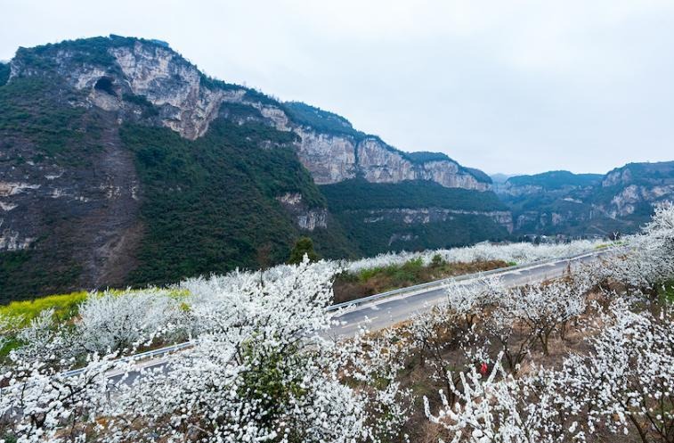 ความงามของทุ่งดอกไม้กว่า 6 ล้านตารางเมตรที่มณฑลเสฉวน_fororder_花海3