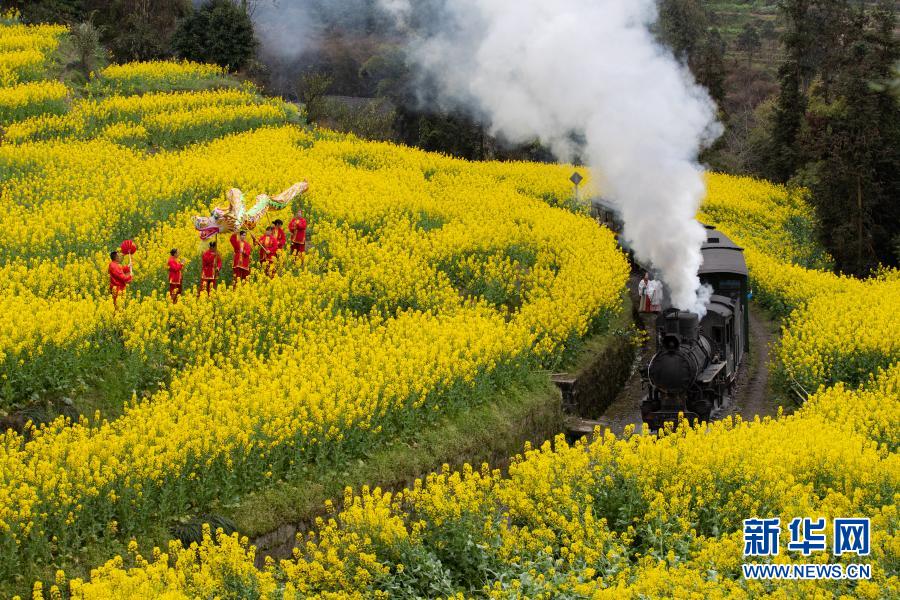 坐著小火車 穿越看花海_fororder_1127163327_16147609477861n