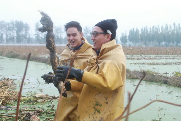 华少退出《了不起》惹猜疑 或因档期紧被浙视召回