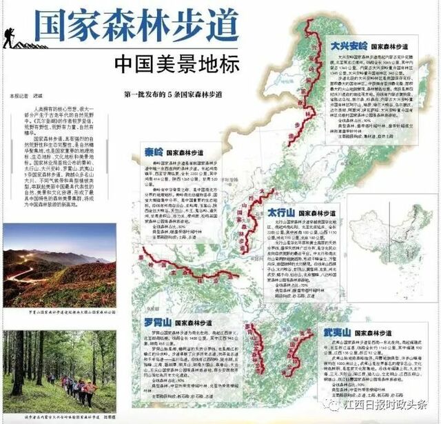 朱虹：加快推进国家森林步道体系建设