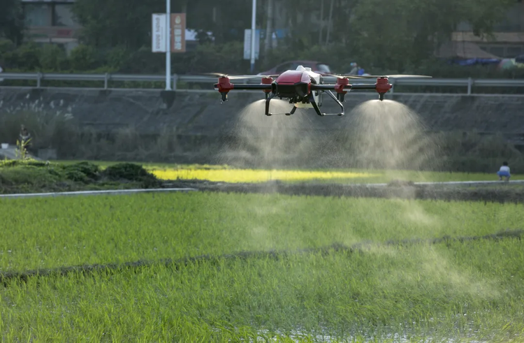 Experts|Emerging Technologies and the UN SDGs_fororder_微信图片_202103041107114