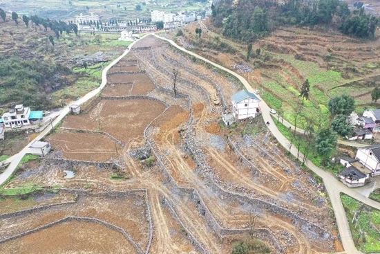 贵州仁怀：春耕生产马力足 万亩高粱基地建设忙