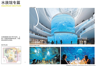 【社会民生 列表】 重庆又有新耍事!观音桥将建亚洲最大"商场鱼缸"