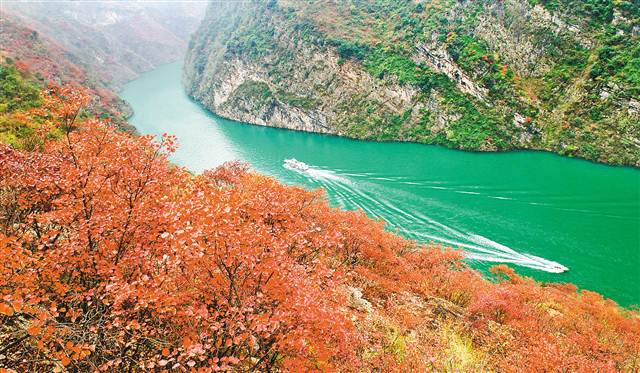 【焦点图】又到金秋时节 三峡腹地可尽览“醉美秋色” 【焦点图】又到金秋时节 三峡腹地可尽览“醉美秋色”