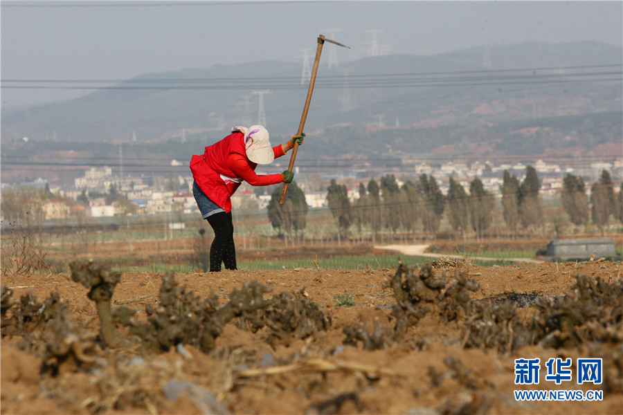 云南曲靖：珠江源头春耕忙