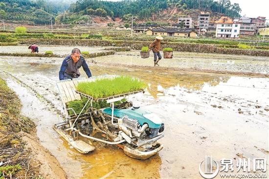 泉州市春耕備耕工作全面鋪開 驚蟄聽春聲