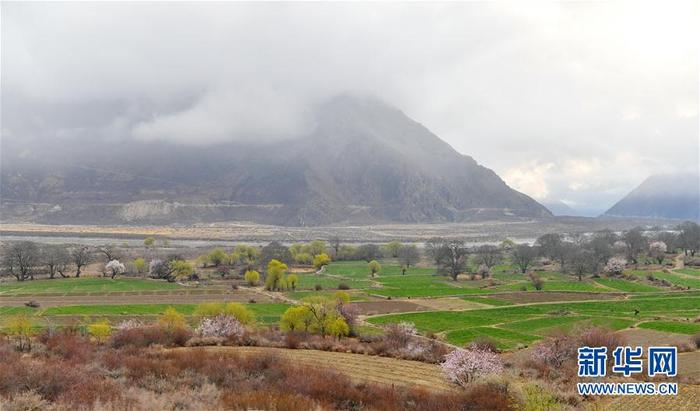 图片默认标题_fororder_1125747988_15847856126481n