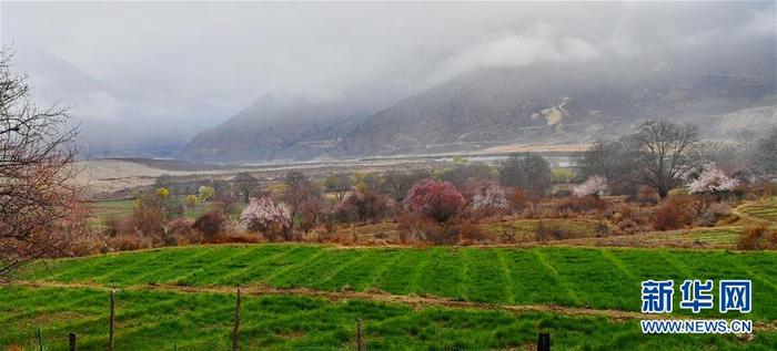 图片默认标题_fororder_1125747988_15847856123651n