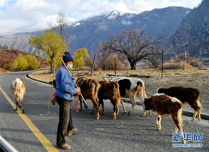 图片默认标题_fororder_1125747988_15847856129821n