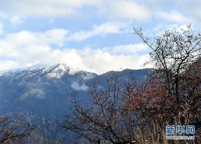 图片默认标题_fororder_1125747988_15847856128111n